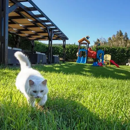 Villa Kookis Village Kerí