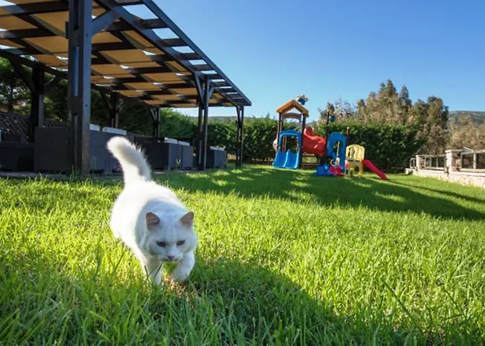 וילה Kookis Village קרי